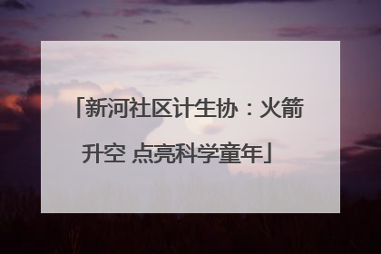 新河社区计生协:火箭升空 点亮科学童年