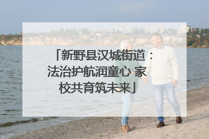 新野县汉城街道：法治护航润童心 家校共育筑未来