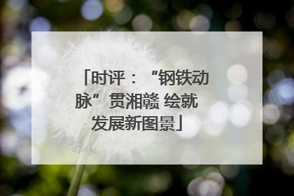 时评：“钢铁动脉”贯湘赣 绘就发展新图景