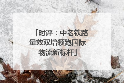 时评：中老铁路量效双增领跑国际物流新标杆