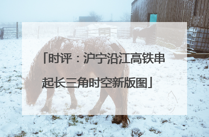时评：沪宁沿江高铁串起长三角时空新版图