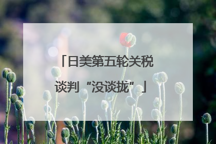 日美第五轮关税谈判“没谈拢”
