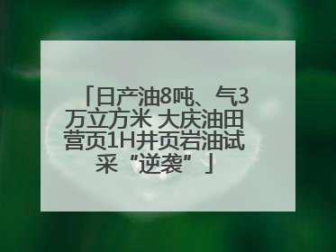 日产油8吨、气3万立方米 大庆油田营页1H井页岩油试采“逆袭”