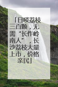 日啖荔枝三百颗，无需“长作岭南人”，长沙荔枝大量上市，价格亲民