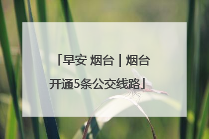 早安 烟台｜烟台开通5条公交线路