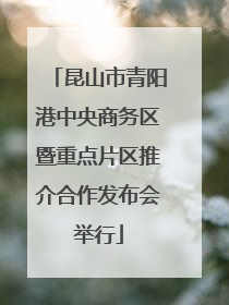 昆山市青阳港中央商务区暨重点片区推介合作发布会举行