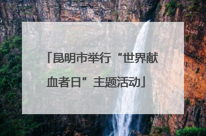 昆明市举行“世界献血者日”主题活动