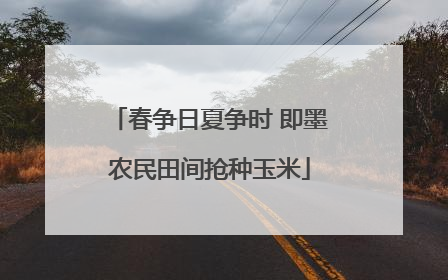 春争日夏争时 即墨农民田间抢种玉米