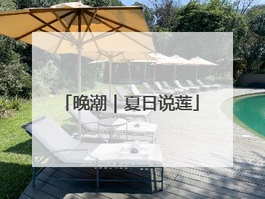 晚潮｜夏日说莲