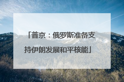 普京：俄罗斯准备支持伊朗发展和平核能