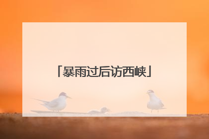 暴雨过后访西峡