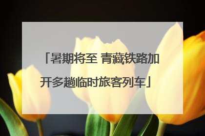 暑期将至 青藏铁路加开多趟临时旅客列车