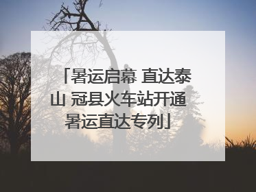 暑运启幕 直达泰山 冠县火车站开通暑运直达专列