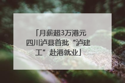 月薪超3万港元 四川泸县首批“泸建工”赴港就业