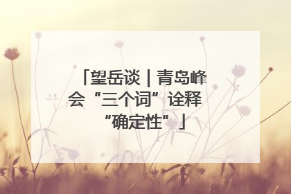 望岳谈｜青岛峰会“三个词”诠释“确定性”