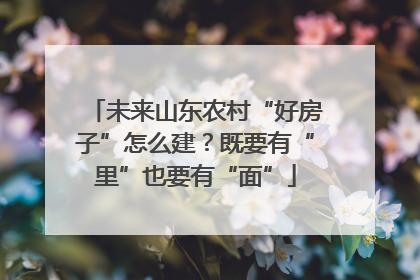 未来山东农村“好房子”怎么建？既要有“里”也要有“面”