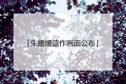 朱媛媛遗作画面公布