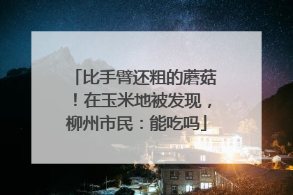 比手臂还粗的蘑菇！在玉米地被发现，柳州市民：能吃吗