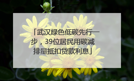 武汉绿色低碳先行一步，39位居民用碳减排量抵扣贷款利息