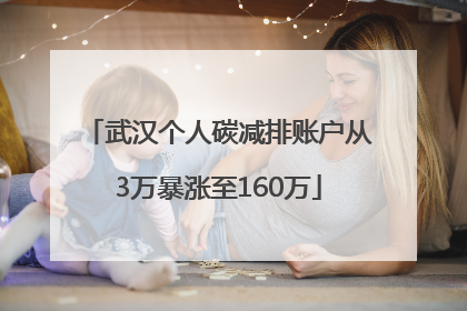 武汉个人碳减排账户从3万暴涨至160万