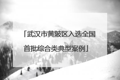 武汉市黄陂区入选全国首批综合类典型案例