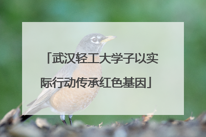 武汉轻工大学子以实际行动传承红色基因