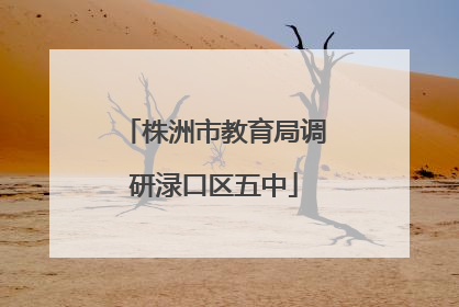 株洲市教育局调研渌口区五中
