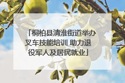 桐柏县清淮街道举办叉车技能培训 助力退役军人及居民就业