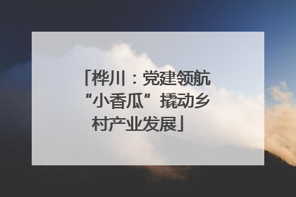 桦川：党建领航“小香瓜”撬动乡村产业发展