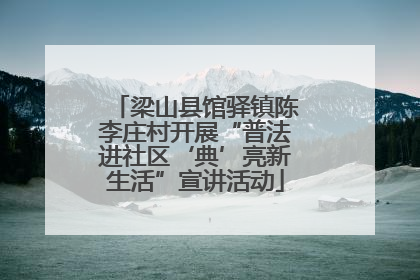 梁山县馆驿镇陈李庄村开展“普法进社区‘典’亮新生活”宣讲活动