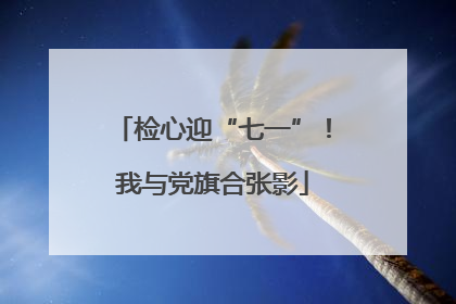 检心迎“七一”！我与党旗合张影