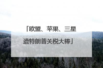 欧盟、苹果、三星遭特朗普关税大棒