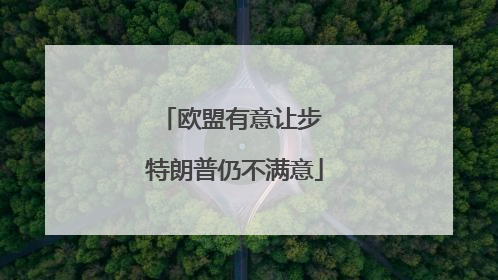 欧盟有意让步 特朗普仍不满意