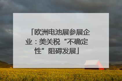 欧洲电池展参展企业：美关税“不确定性”阻碍发展