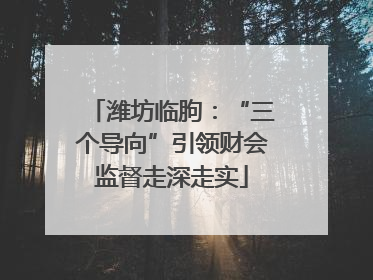 潍坊临朐：“三个导向”引领财会监督走深走实