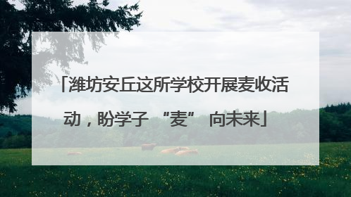 潍坊安丘这所学校开展麦收活动，盼学子 “麦” 向未来