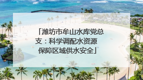 潍坊市牟山水库党总支：科学调配水资源 保障区域供水安全