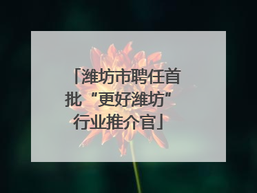 潍坊市聘任首批“更好潍坊”行业推介官
