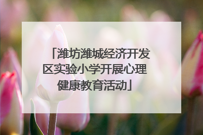 潍坊潍城经济开发区实验小学开展心理健康教育活动