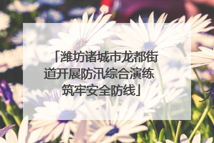 潍坊诸城市龙都街道开展防汛综合演练 筑牢安全防线