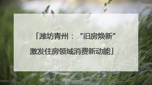 潍坊青州：“旧房焕新”激发住房领域消费新动能