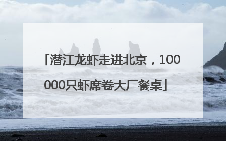 潜江龙虾走进北京，100000只虾席卷大厂餐桌