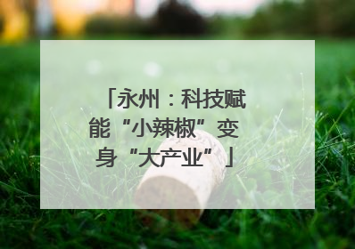 永州：科技赋能“小辣椒”变身“大产业”
