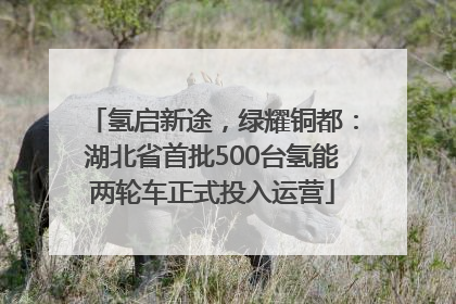 氢启新途，绿耀铜都：湖北省首批500台氢能两轮车正式投入运营
