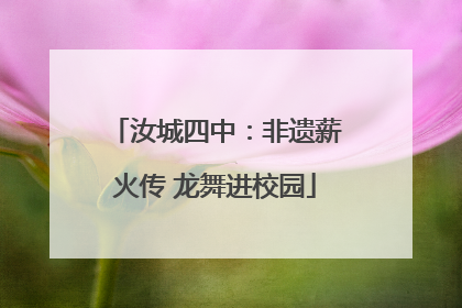 汝城四中：非遗薪火传 龙舞进校园