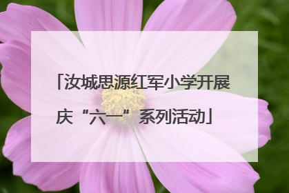 汝城思源红军小学开展庆“六一”系列活动