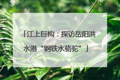 江上巨构：探访岳阳洪水港“钢铁水骆驼”
