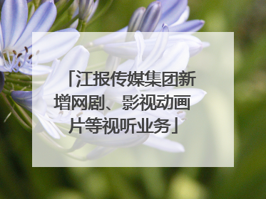 江报传媒集团新增网剧、影视动画片等视听业务