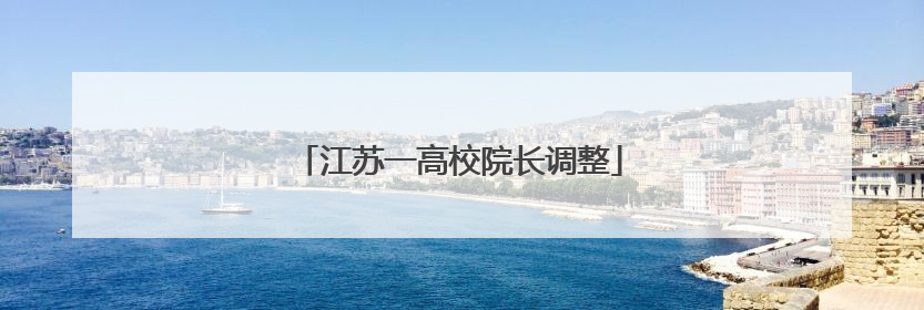 江苏一高校院长调整