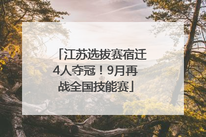 江苏选拔赛宿迁4人夺冠！9月再战全国技能赛